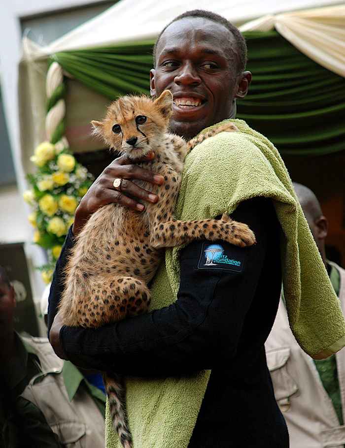 2009-1102-Usain-Bolt-cheetah-cub.jpg
